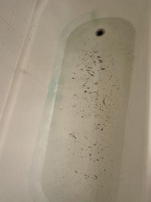 Poop water coming into our bathtub.