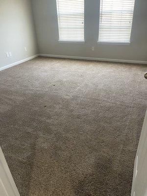 C&C Carpet Care