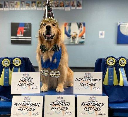 Earn Your AKC Tricks Certification at Zoom Room Huntington Beach!