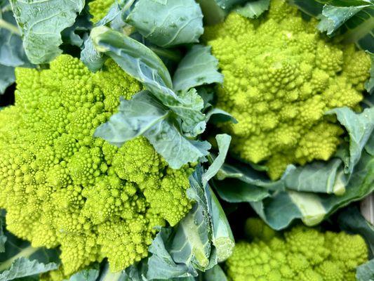 Romanesco