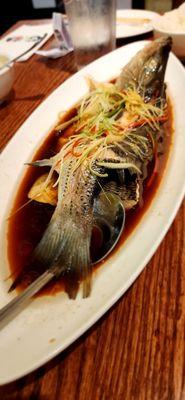 Steamed sea bass