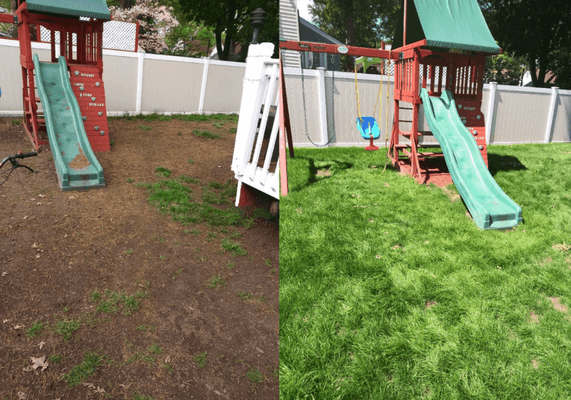 de-weeded and re-seeded customer's backyard