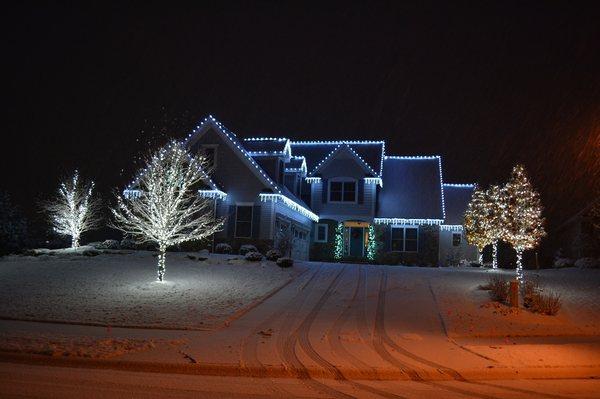 Professional Holiday Lighting by Bluegrass Incorporated in Canton, Ohio