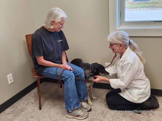 Annual exam being performed by Dr. Rosenbek