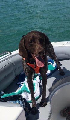 Ranger the boat dog