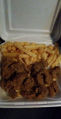 Fried gizzards & fries. Gizzards were fresh and seasoned well; just too greasy. Fries were meh.