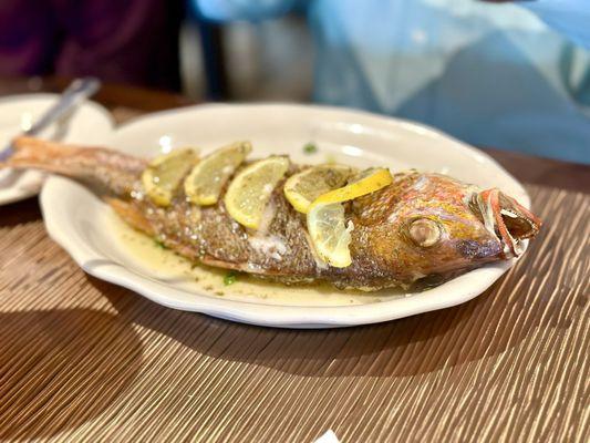 Whole snapper.