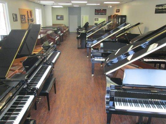 Large selection of grand pianos.