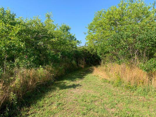 Trail entrance