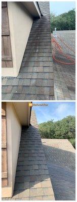 Roof Cleaning Before & After