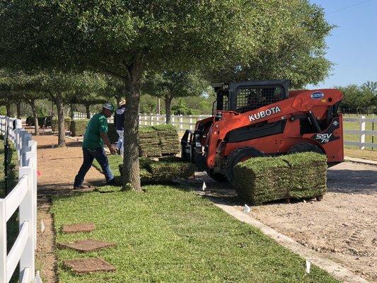 Grass going in!