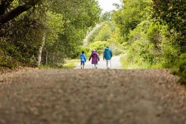 Wildcat Canyon Regional Park