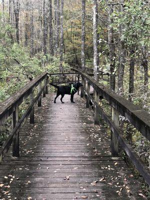 Nature Trail