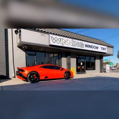 Lamborghini tinted at Winnjng