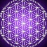 The Flower of Life ~