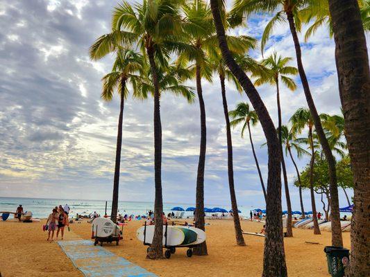 Waikiki Beach you could take the hop on hop off to