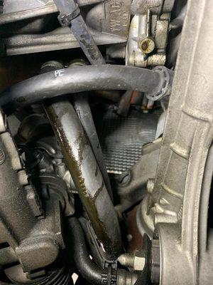 The power steering leak they found.