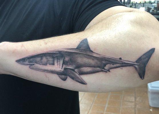 Shark tattoo by Justin Love