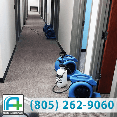 Commercial Carpet Cleaning Oxnard CA