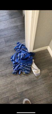 Underwear on the floor on move in day