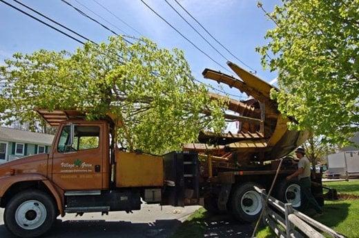 Village Green Landscape Contractors