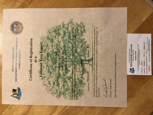 Stephen T. Smith, Owner
Md. Lic. Tree Expert #552
Licensed since 1996