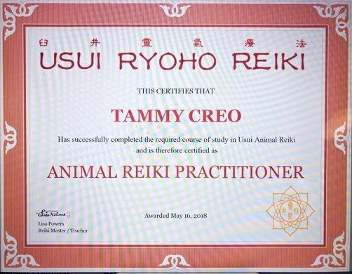 Reiki promote relaxation, especially in times of stress; think going to the vet, traveling in general, during fireworks or a thunderstorm.