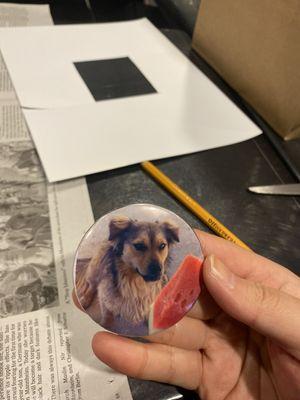 Button I made of my dog