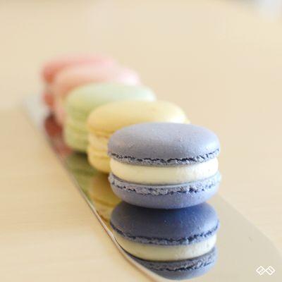 Milk & lavender, Honey lemon, Melona, Vanilla rose, Raspberry macarons