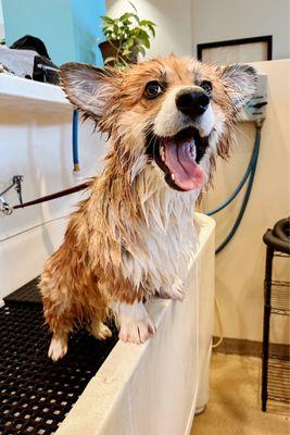 Bath time!