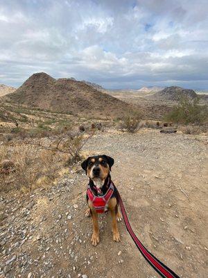 He accompanied me on 40+ hikes in 2021