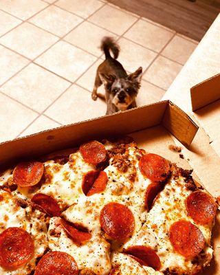 Sausage, pepperoni, green peppers, and mushrooms, when your pup knows