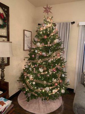 This is a decorated live Christmas tree with white lights