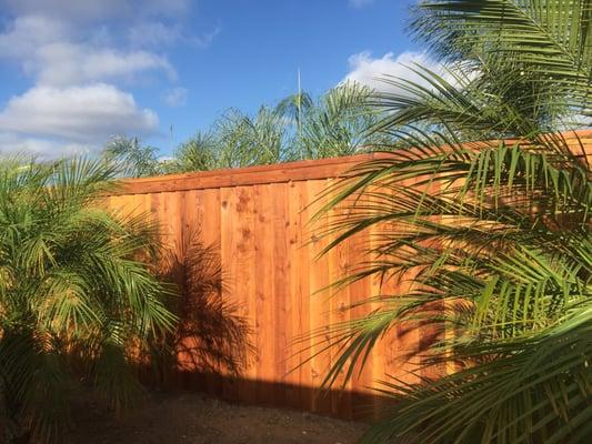 6' Tall "Cap & Trim" style natural stain Redwood Fence with "Overlayed" fence boards.