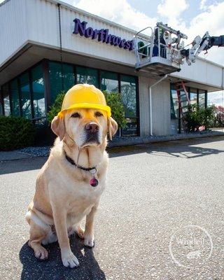 Open while under construction at new location in Lakewood, WA