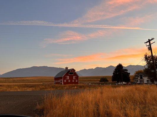 Bronze Antler Bed & Breakfast