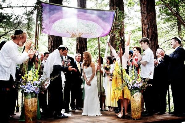 Amphitheatre of the Redwoods