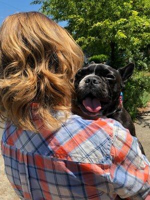 Subtle balayage and shag cut. (Cute dog!)