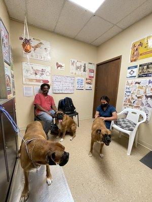 Our three babies getting cared for. Fabiola on scale. Seth with his daddy. Cash with one of the vet techs.