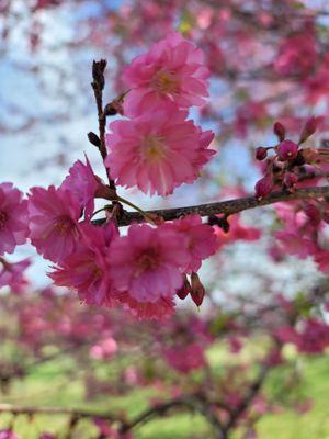 Bernheim Forest and Arboretum