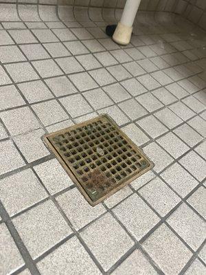 Red hair ball in the drain and a razor protector and body wash bottle in corner