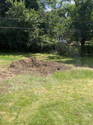 Ground up stump in the middle of our yard