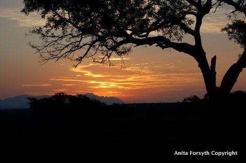 African Eyes Travel