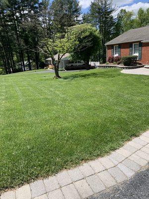 Beautiful lawn!!