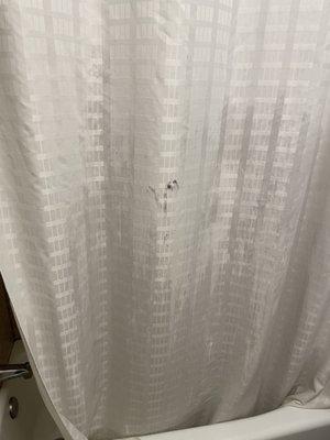 Shower curtain nice and clean