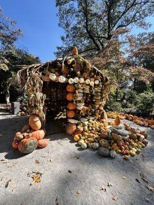 House made of pumpkins