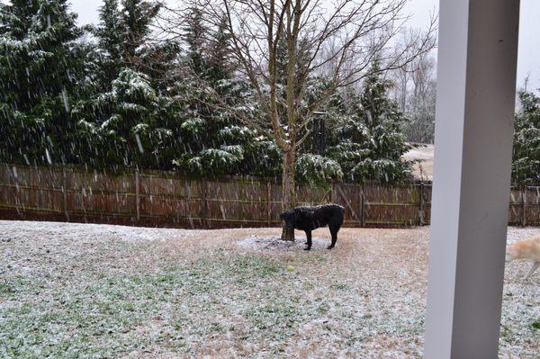 My MJ! Grew up in Wisconsin and loved the rare GA snow.