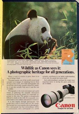 From National Geographic -  Jan 1982