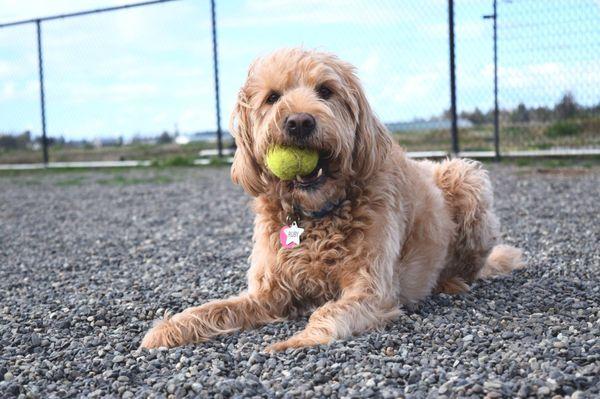 Playing outside in the winter months can be messy. We mitigate that by using soft pea gravel in some play yards.