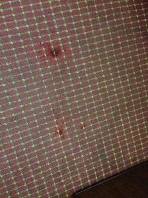 What looks like a Blood stain found today in my room. Was moved to another room w a 10$ discount. Sorry, but this is not right